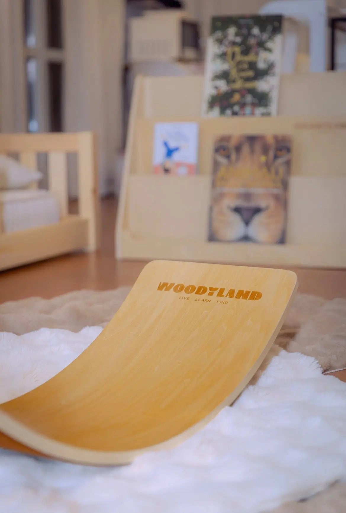 Balance Board Fly WoodyLand